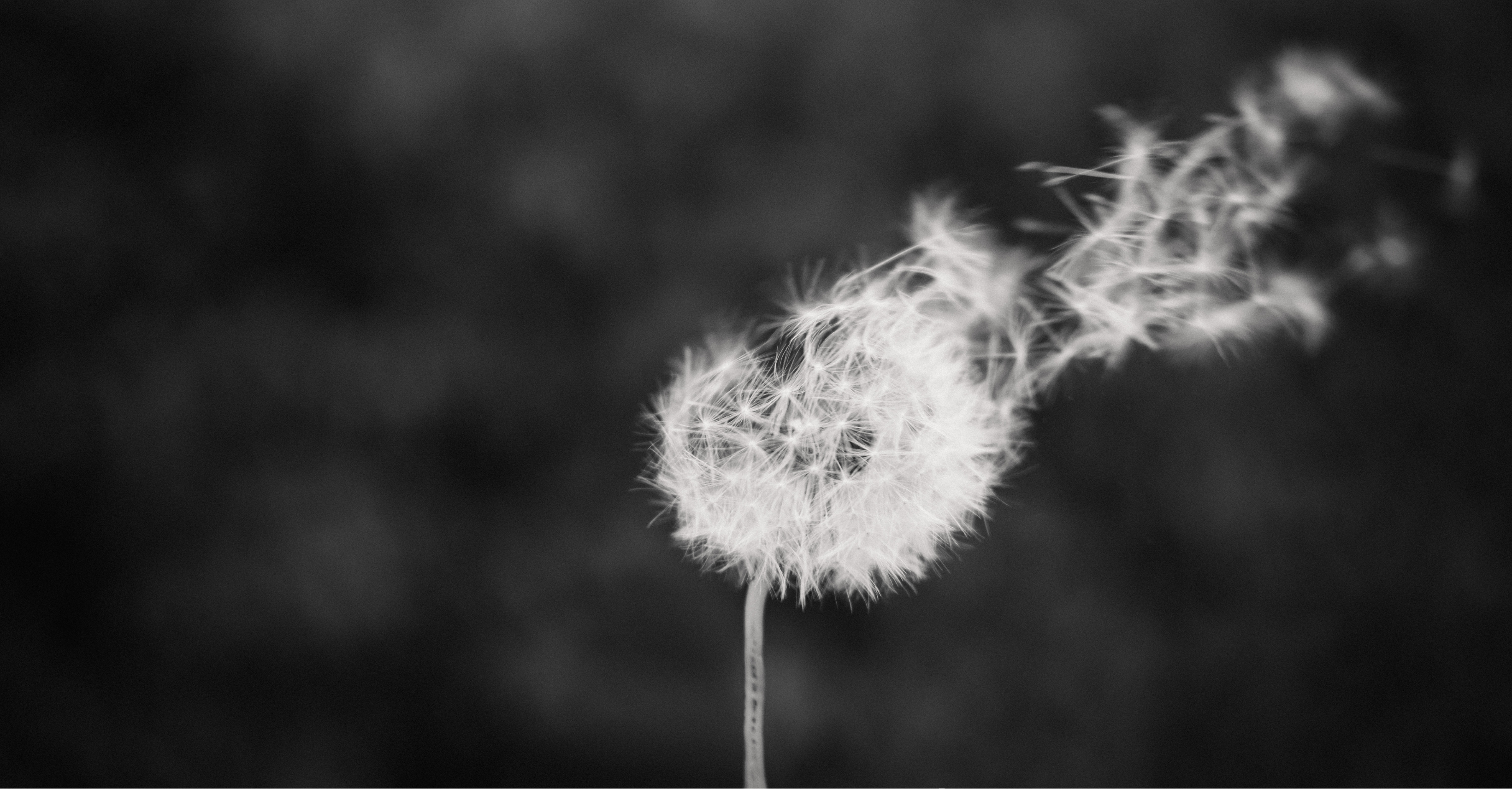 What two big nature warnings mean for Cheltenham