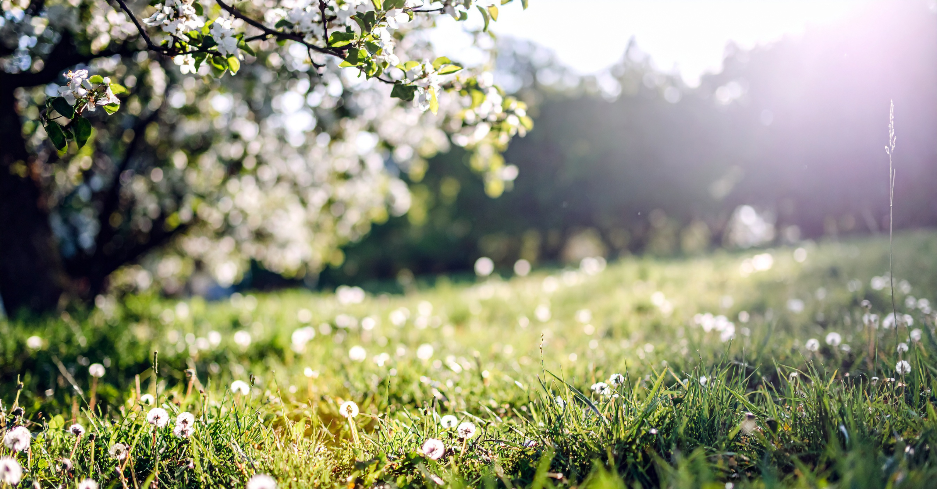 Nature and resilience in uncertain times