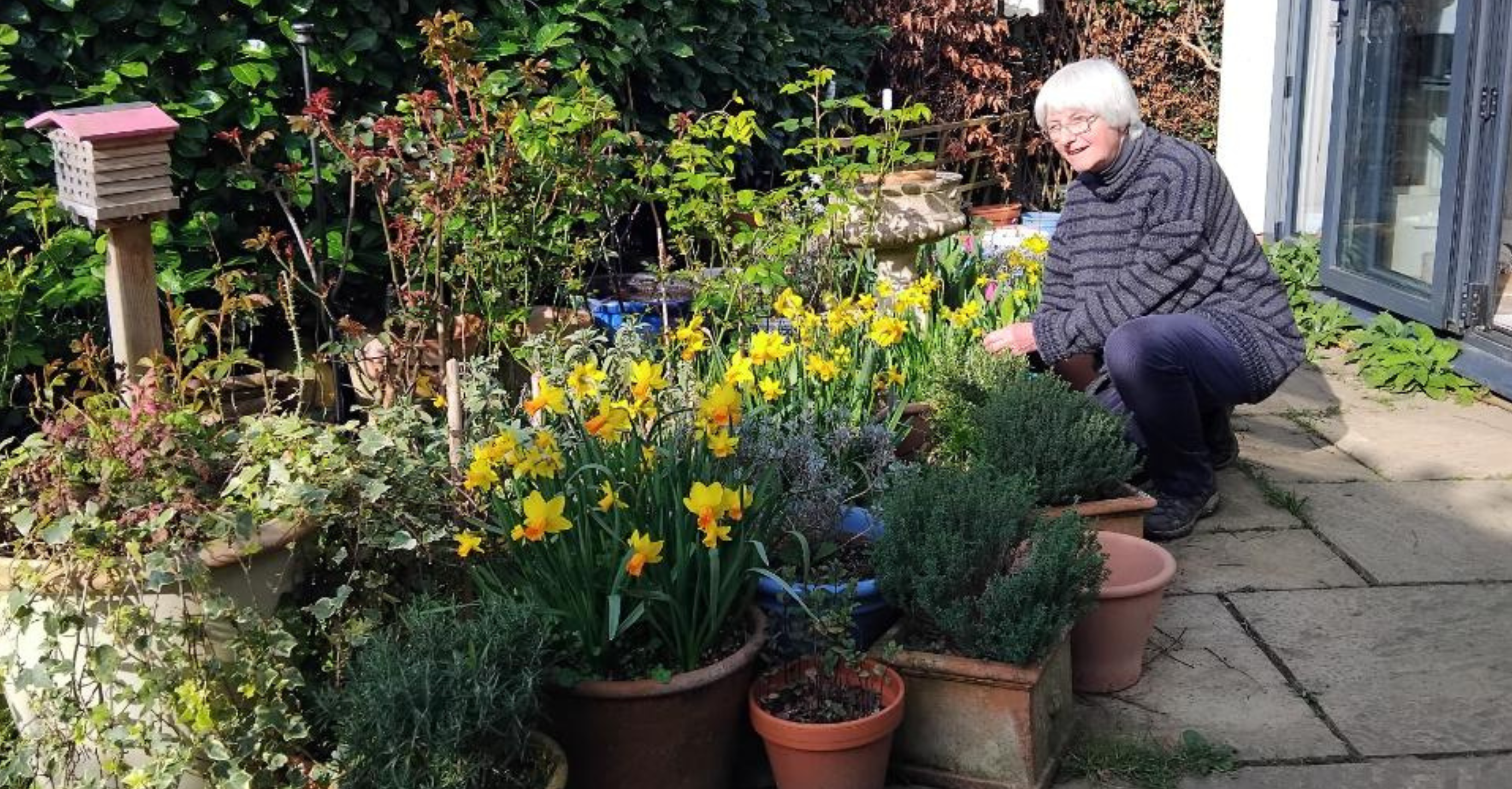 Why gardens are so important for nature and people, by Claire Piper
