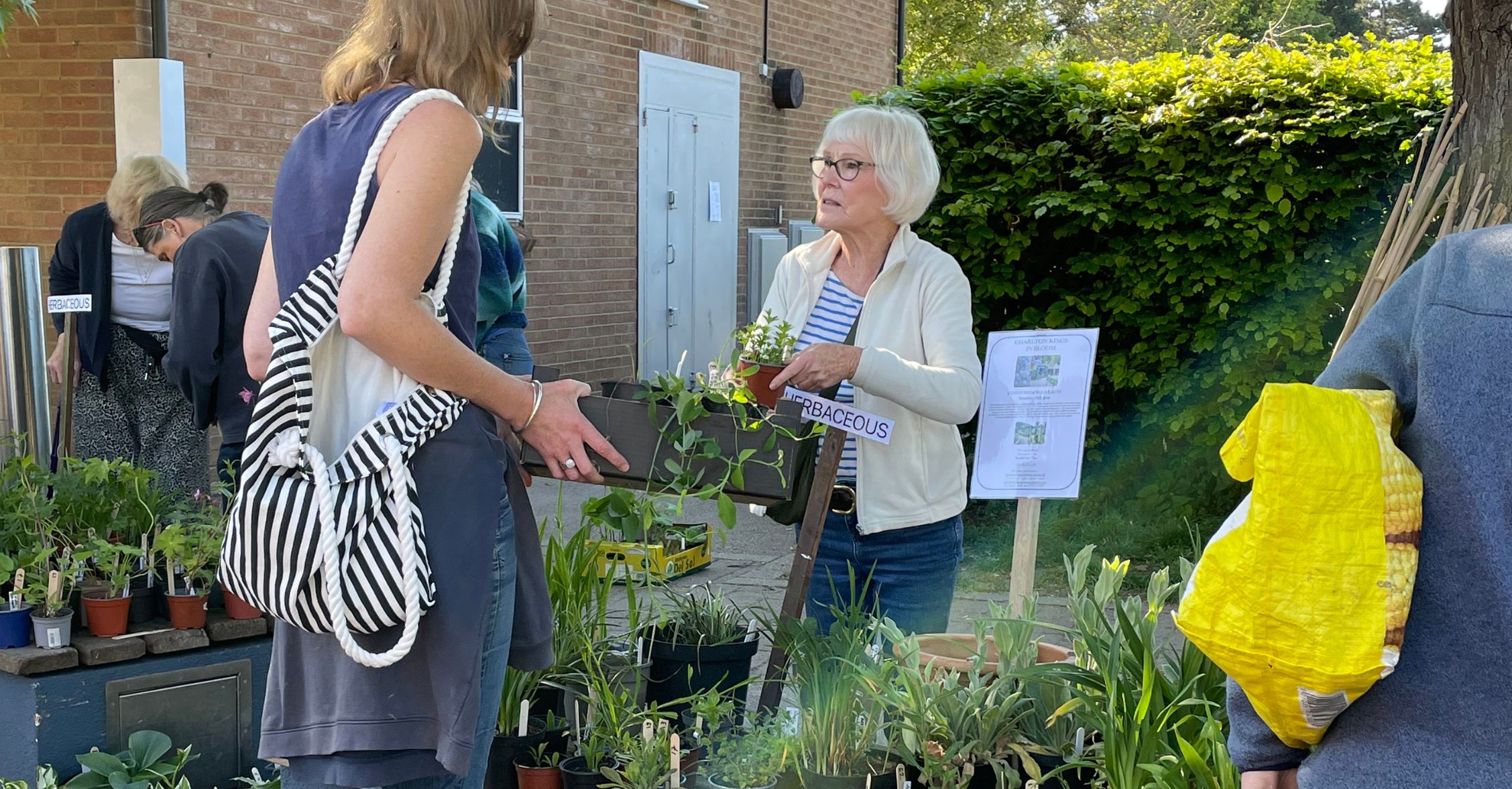 A Spring highlight: Charlton Kings in Bloom Plant Sale