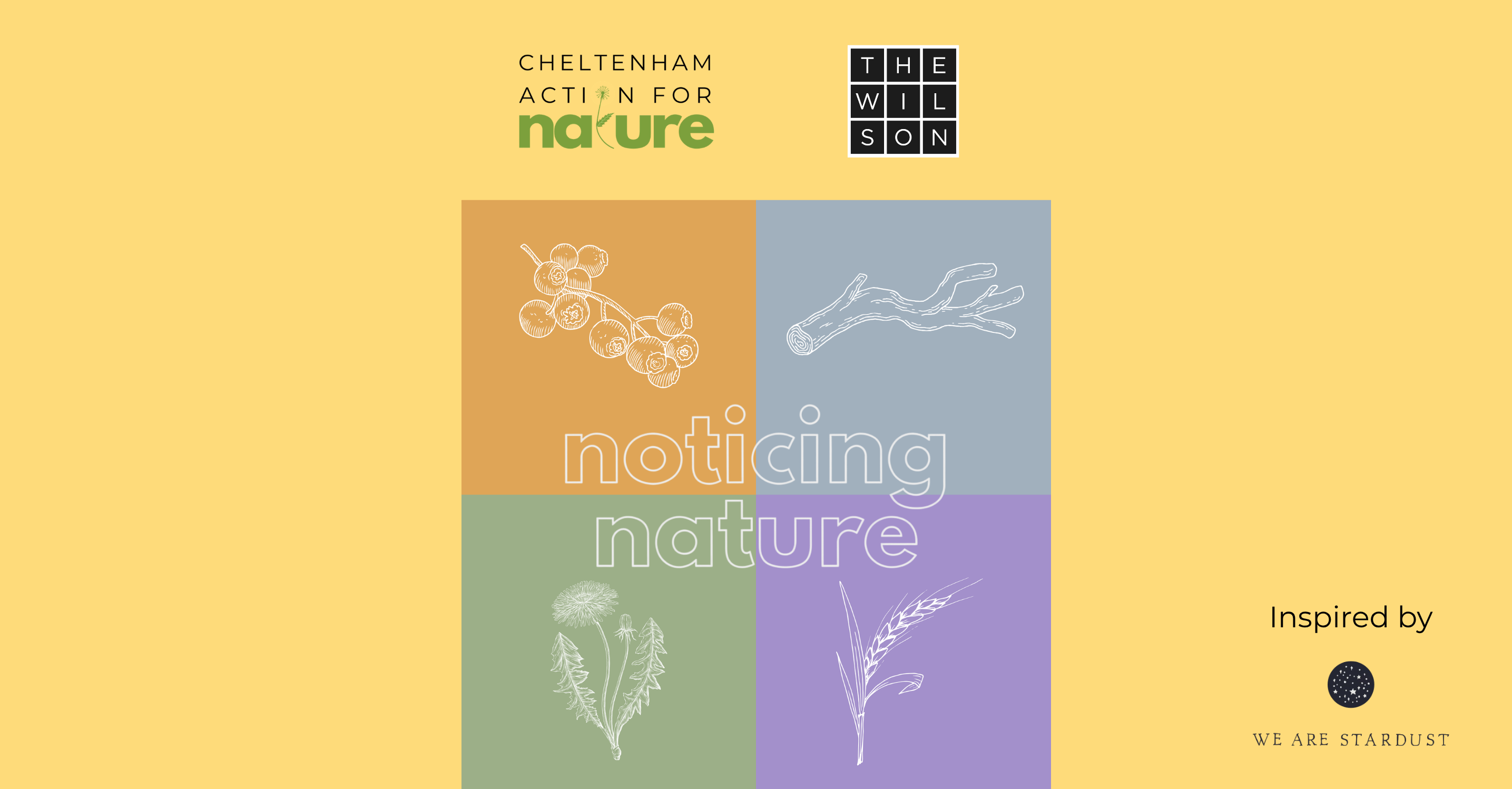 Noticing Nature: a new creative way to connect with the natural world
