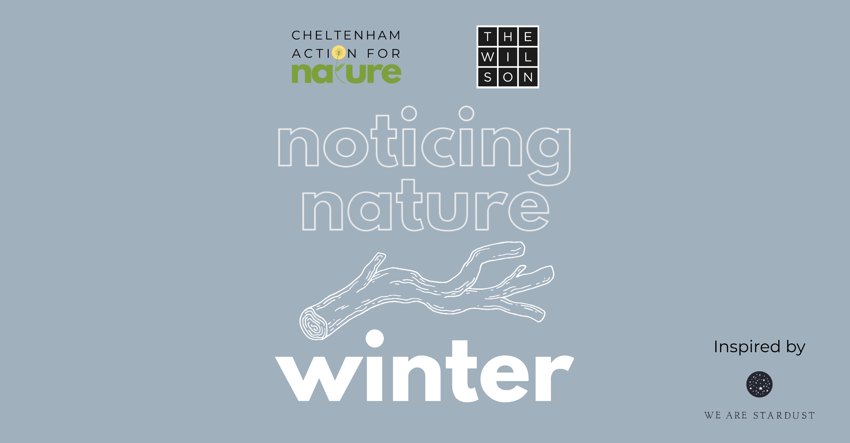 Noticing Nature: discovering the quieter beauty of Winter